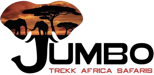 Jumbo Trekk Africa Safaris