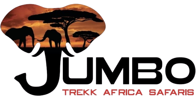 Jumbo Trekk Africa Safaris