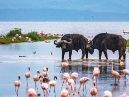 Lake-Nakuru-National-Park-2
