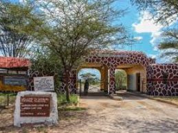 samburu